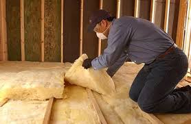 Best Insulation Removal  in Mims, FL