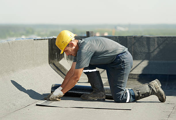 Best Attic Insulation Installation  in Mims, FL